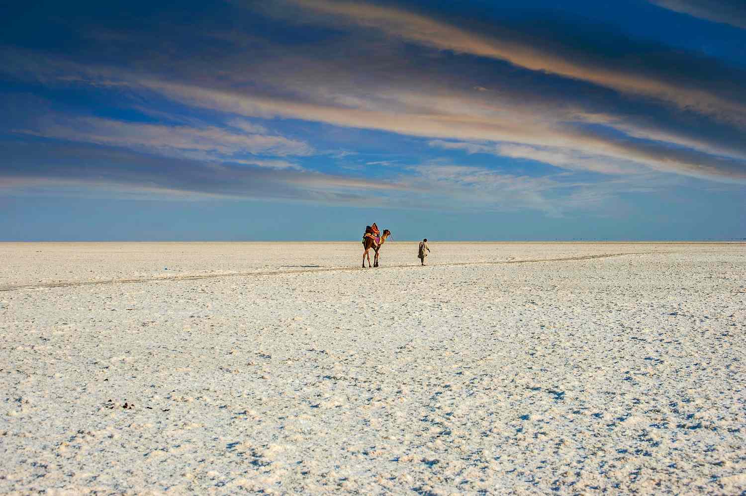Rann Of Kutch And Sasangir Tour With